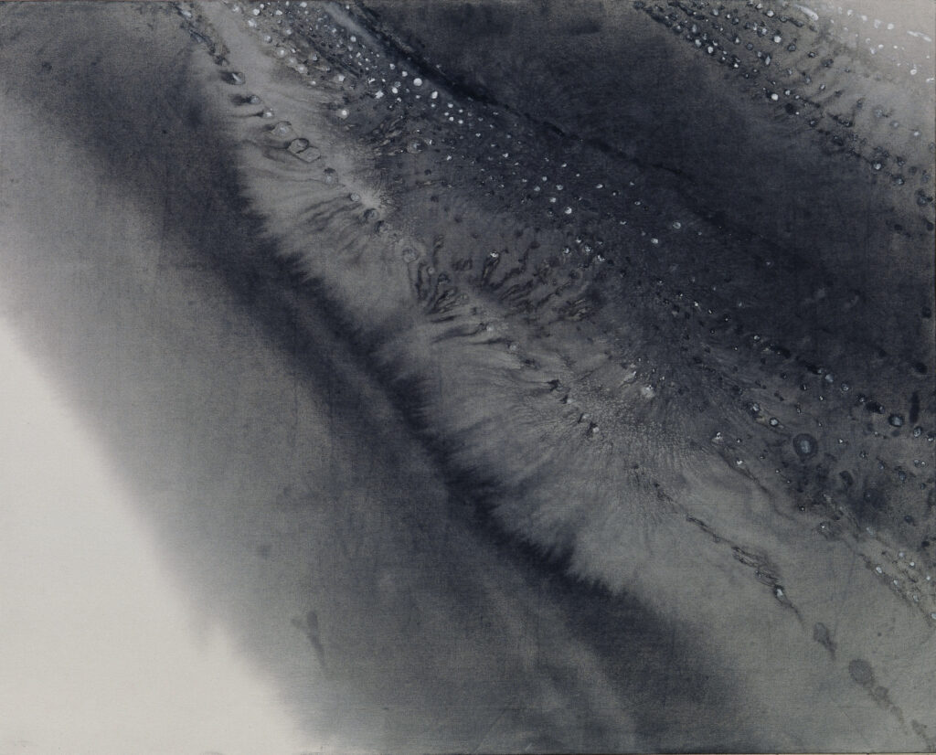 28. 움직이는 사유 - 큰새 '붕(鵬)' Moving speculation - Peng 160x132cm ink & stone powder on cloth 2003 (5)